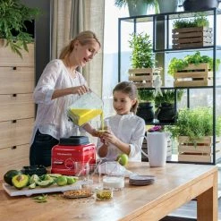 KitchenAid - ARTISAN High Power Blender - Queen Of Hearts -KitchenAid Verkäufe 33943 Standmixer High Power 5